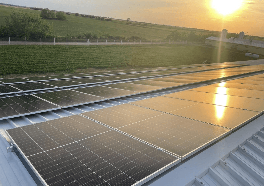 Solar panels on a metal roof reflecting the setting sun over a green field.